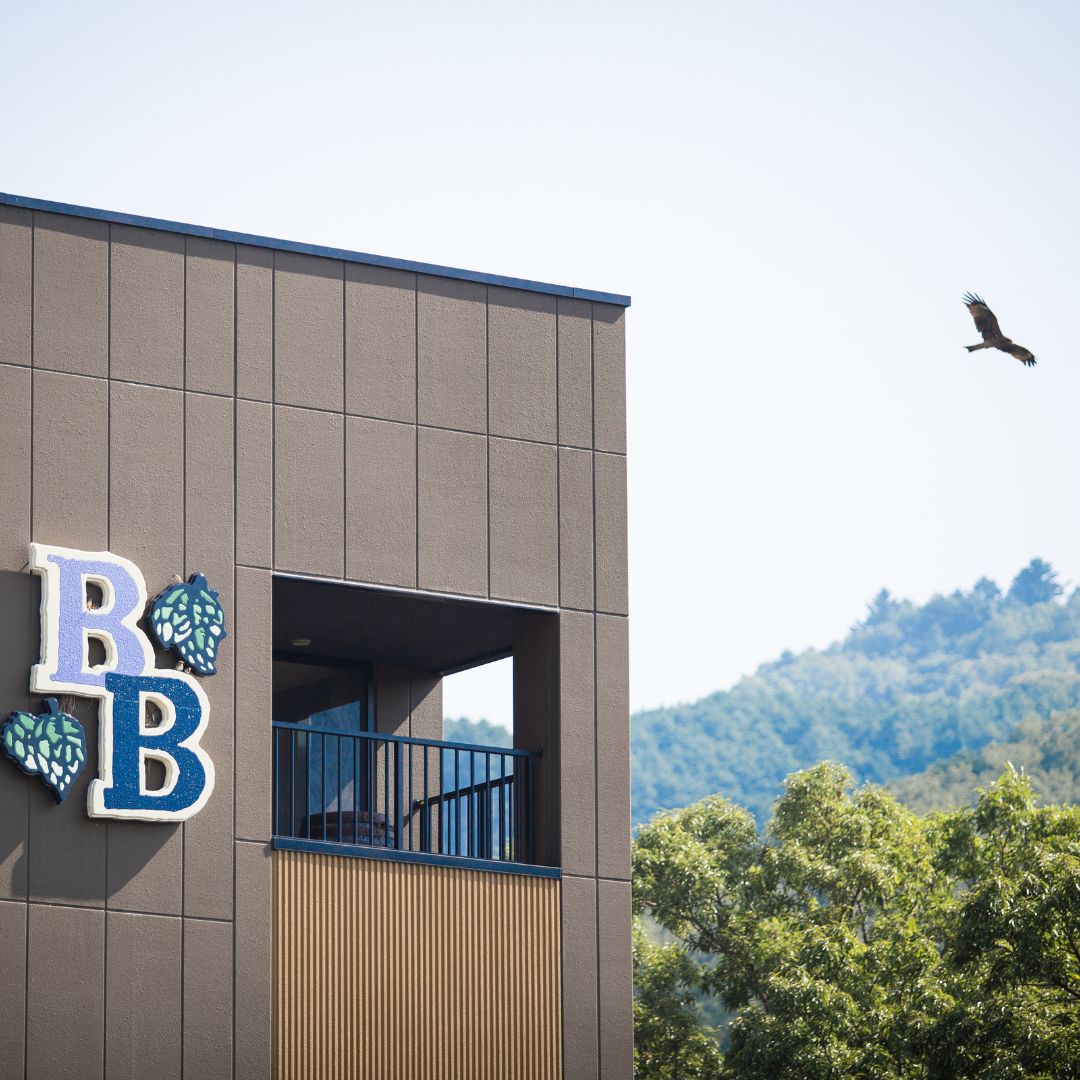 A hawk flying over Baird Brewery